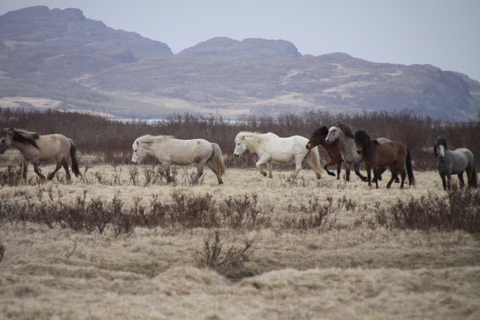 Ketilsstaðir